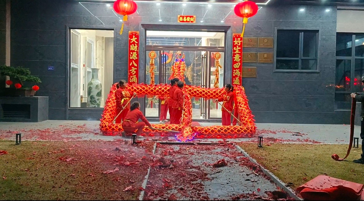 蛇舞新春，龍騰瑞氣